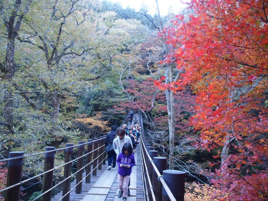 2013年11月13日 茨城県民の日♪おいでよ茨城に♪花貫渓谷、横根山、都室山、土岳、里山歩き♪ヽ(´▽｀)/ by robakun