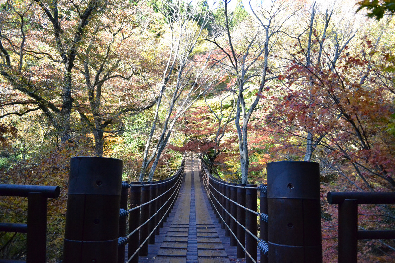 2012年11月16日 茨城県土岳山（花貫渓谷の紅葉とうっすら見えた富士山！） by tatuta