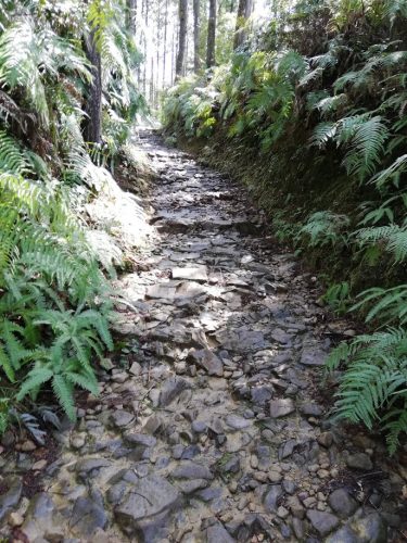 熊野古道