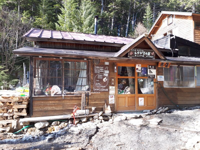 しらびそ小屋 40m 深い森のリスが集まる山小屋 八ヶ岳 蓼科 ヤマレコ