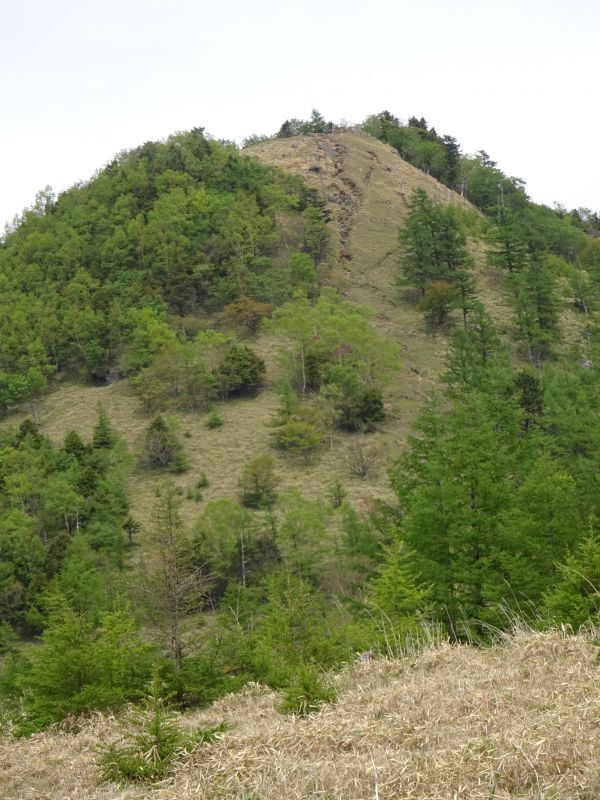 笠取山 最新の山行記録と登山ルートやアクセス 気象状況など ヤマレコ