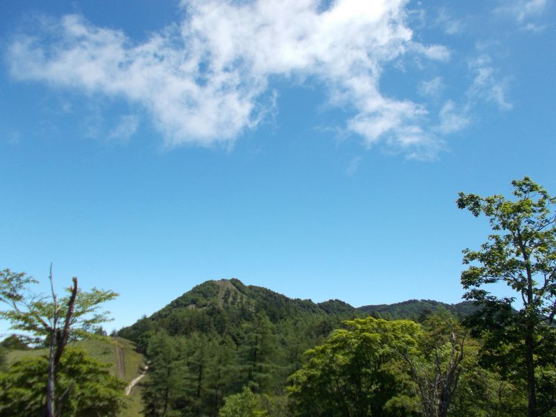 笠取山 最新の山行記録と登山ルートやアクセス 気象状況など ヤマレコ