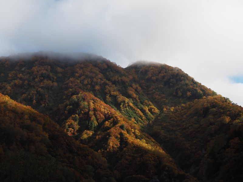 黒部別山　積雪期　黒部の衆 黒部別山 積雪期(黒部の衆編) / 古本、中古本、古書籍の通販は