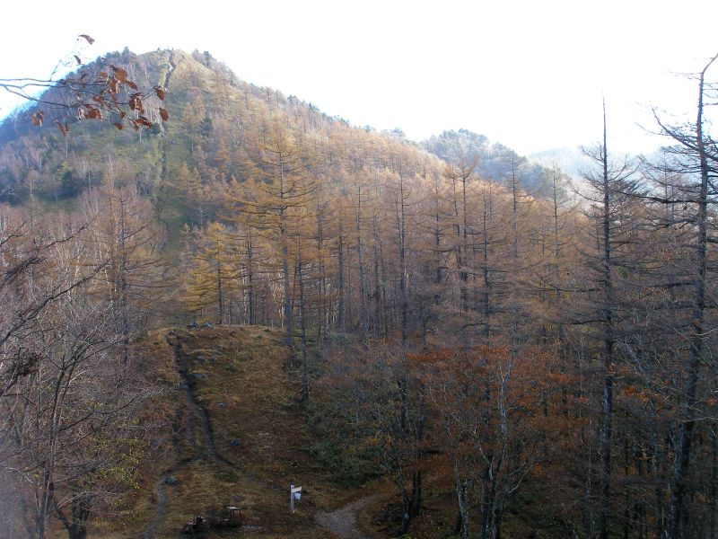 笠取山 最新の山行記録と登山ルートやアクセス 気象状況など ヤマレコ