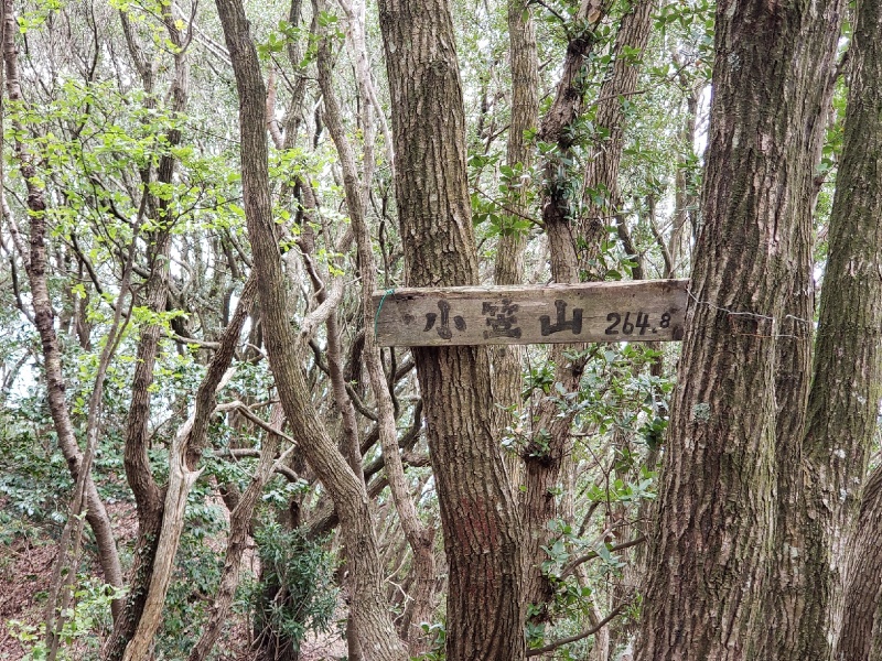 小笠山 おがさやま 265m 東海 ヤマレコ