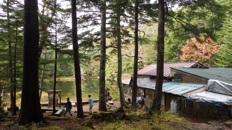 しらびそ小屋 40m 深い森のリスが集まる山小屋 八ヶ岳 蓼科 ヤマレコ