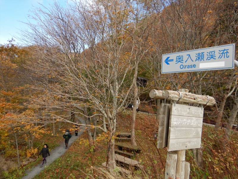 子ノ口 最新の山行記録と登山ルートやアクセス 気象状況など ヤマレコ