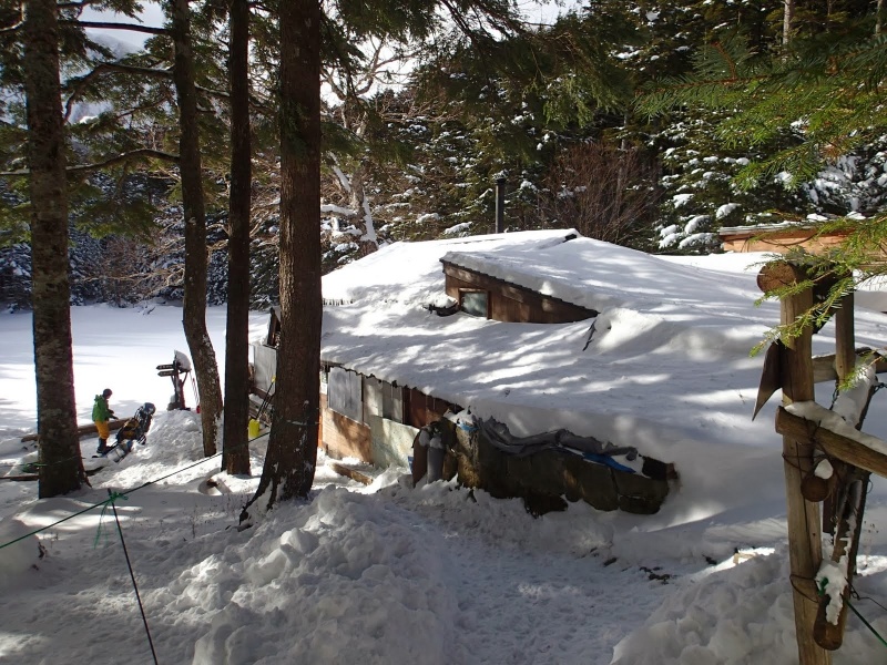 しらびそ小屋 40m 深い森のリスが集まる山小屋 八ヶ岳 蓼科 ヤマレコ