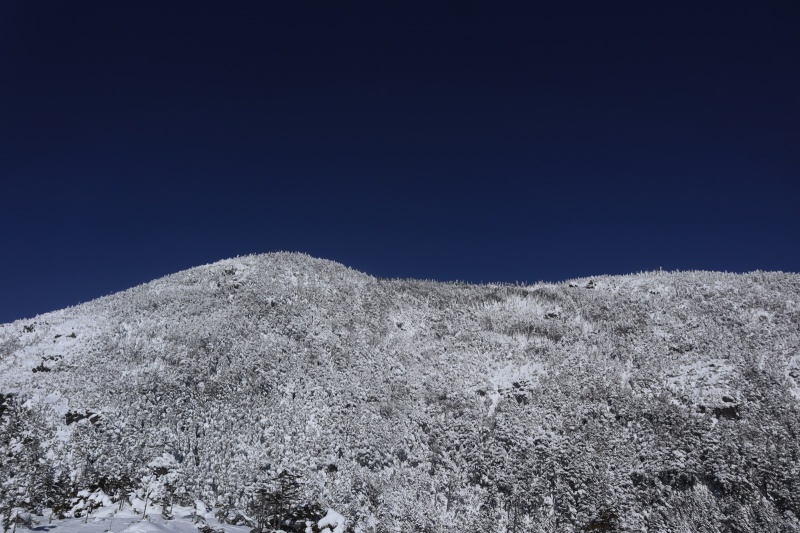 北横岳 南峰 2471 6m 八ヶ岳 蓼科 ヤマレコ