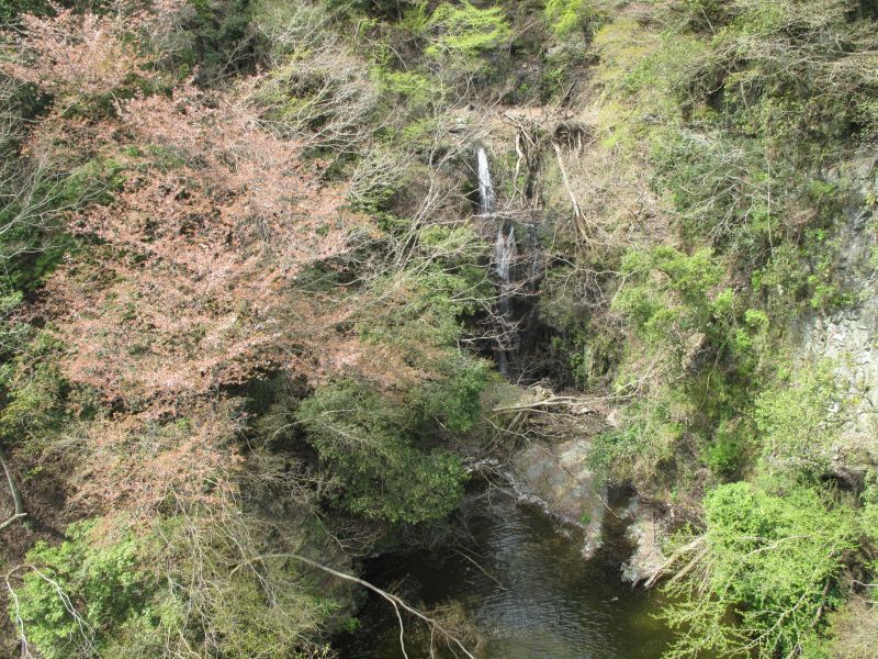 滝壺橋 最新の山行記録と登山ルートやアクセス 気象状況など ヤマレコ