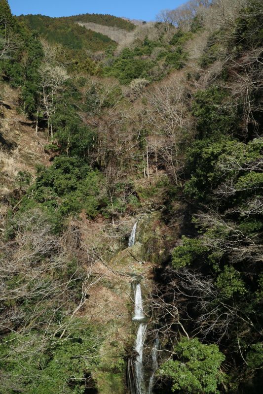 滝壺橋 最新の山行記録と登山ルートやアクセス 気象状況など ヤマレコ