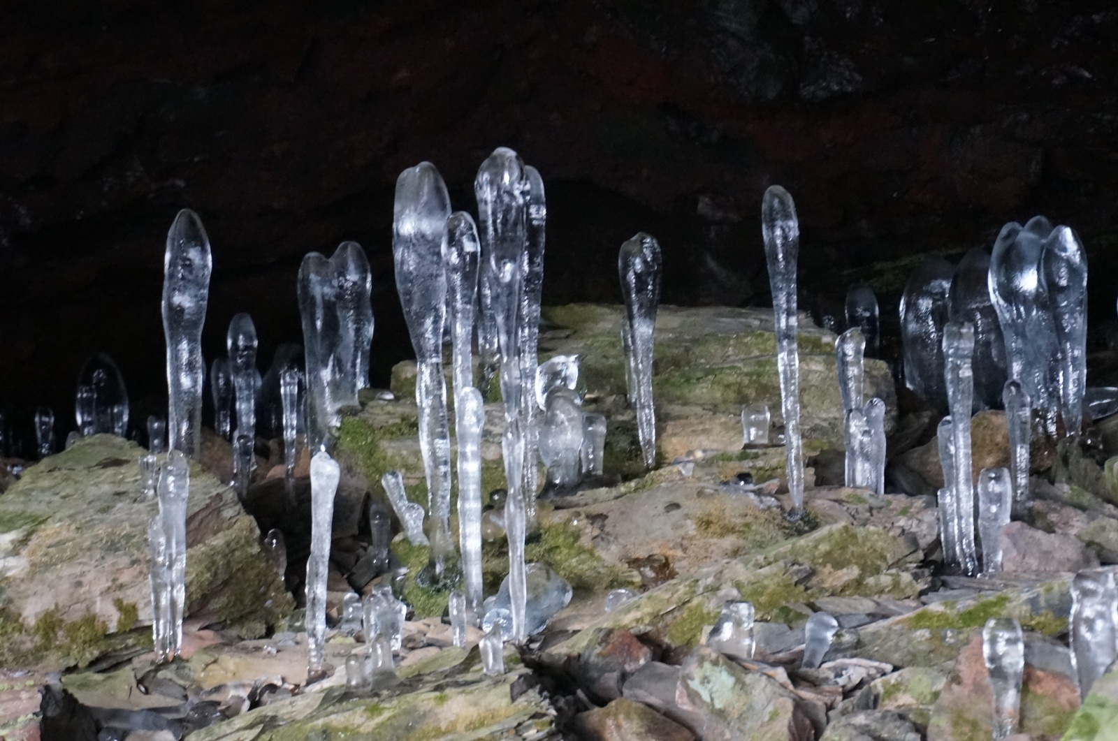 "大幽洞窟:氷筍"