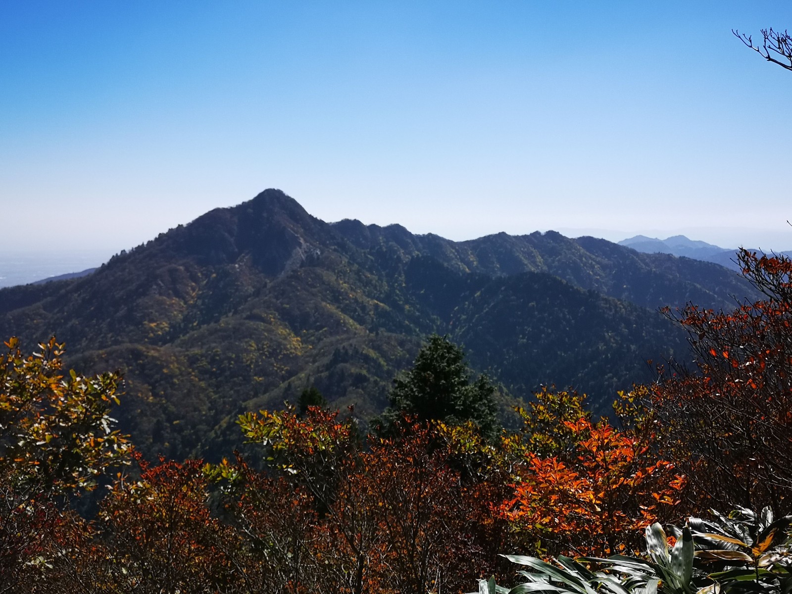 "鎌ヶ岳"
