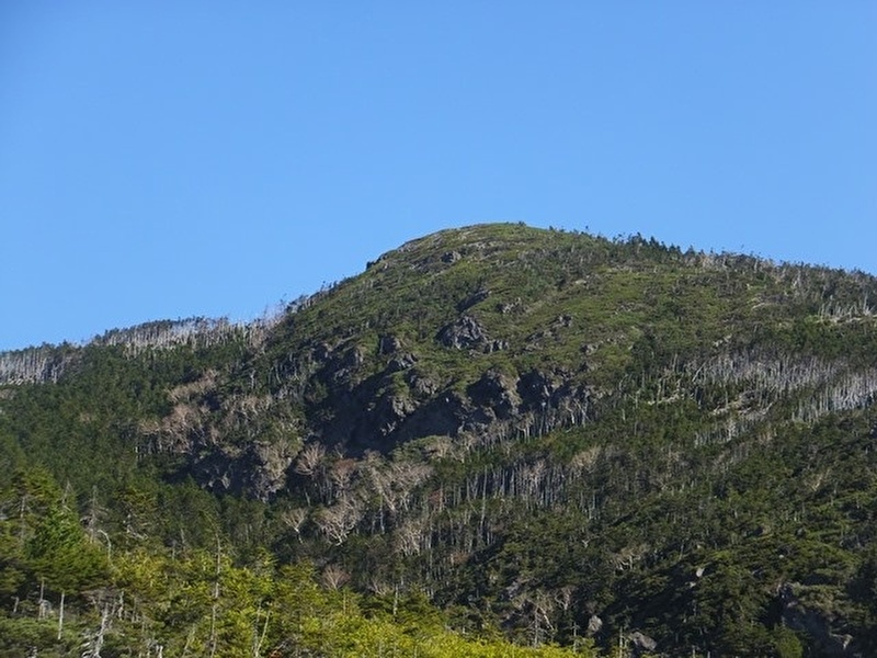 北横岳 手軽に登れる北八ヶ岳の活火山 ヤマレコ