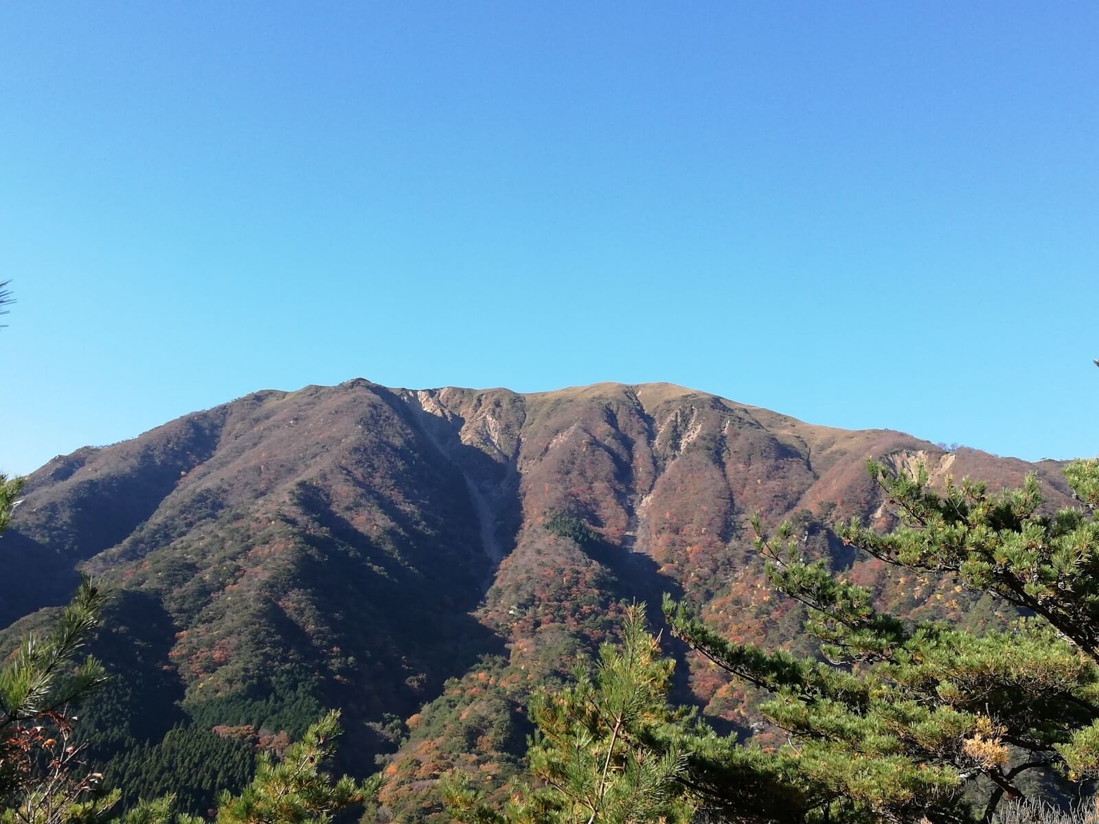 "竜ヶ岳"