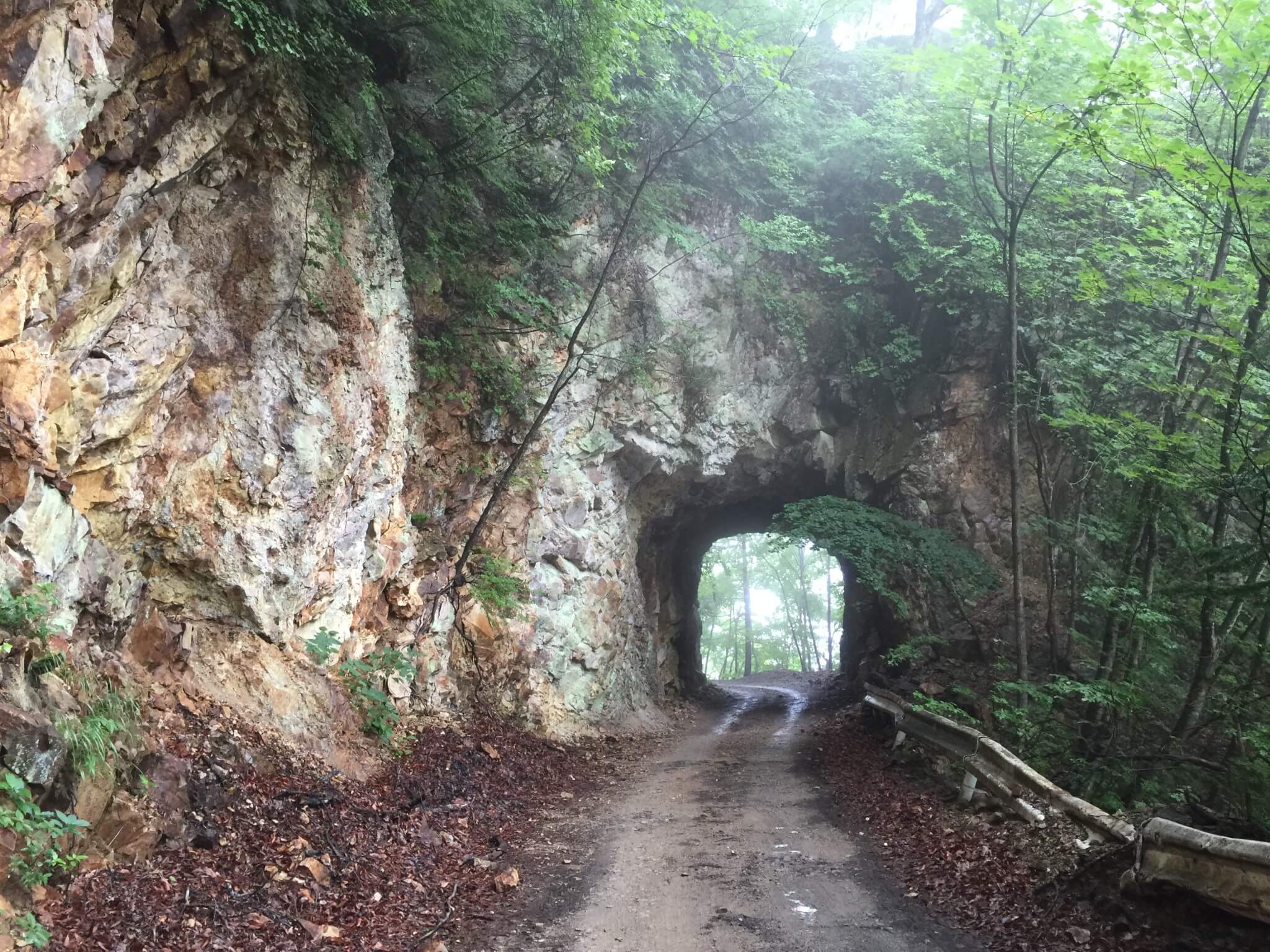 "栗原川林道:トンネル"