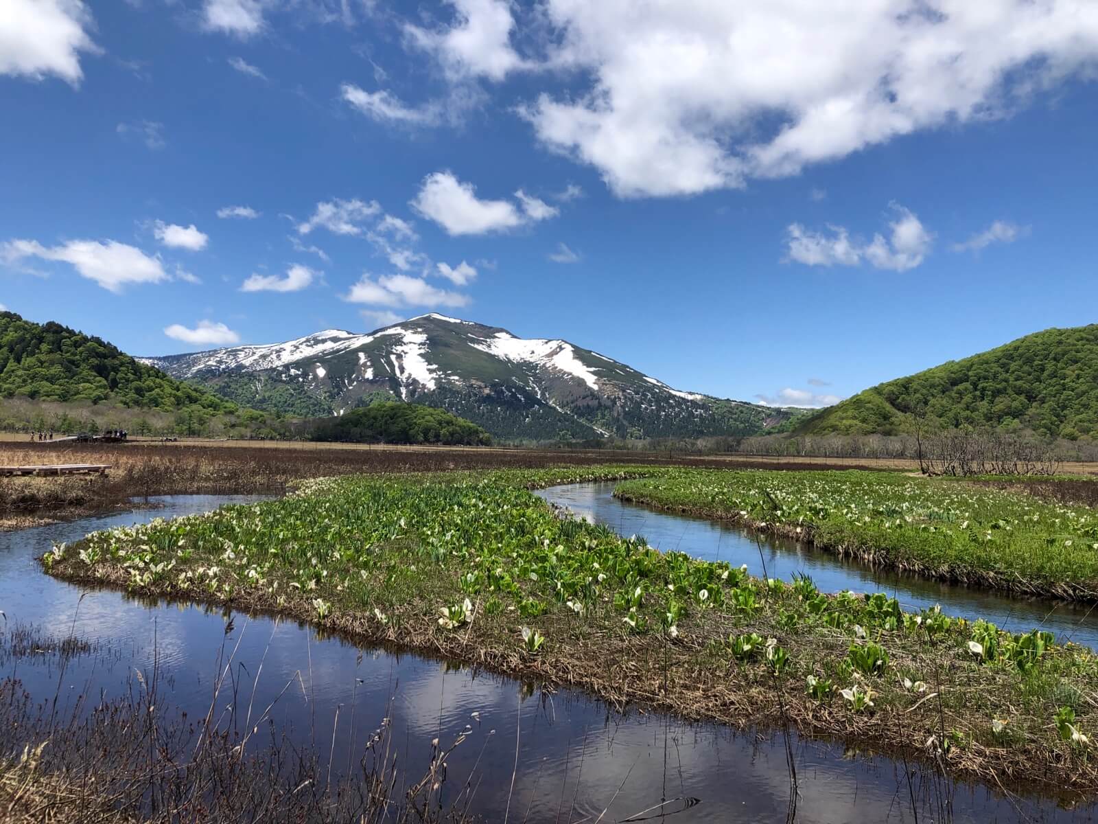 "尾瀬ヶ原から望む至仏山"