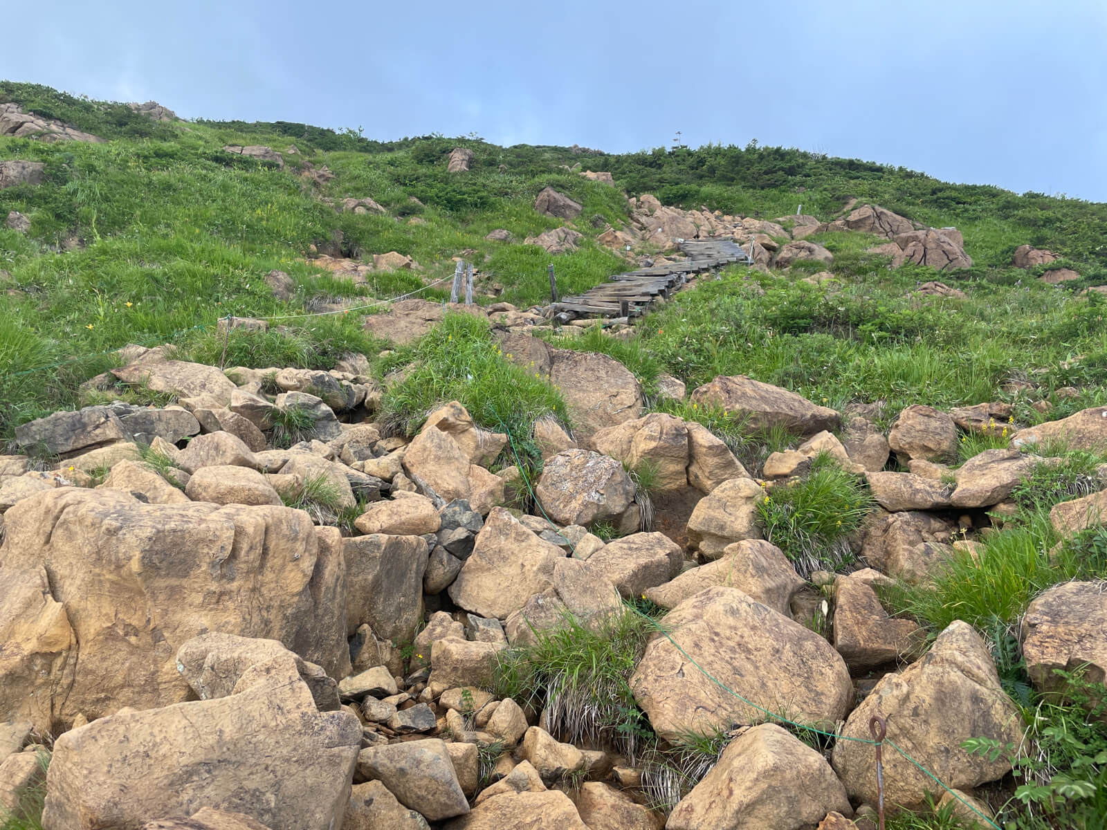 "登山道(山ノ鼻〜至仏山)"