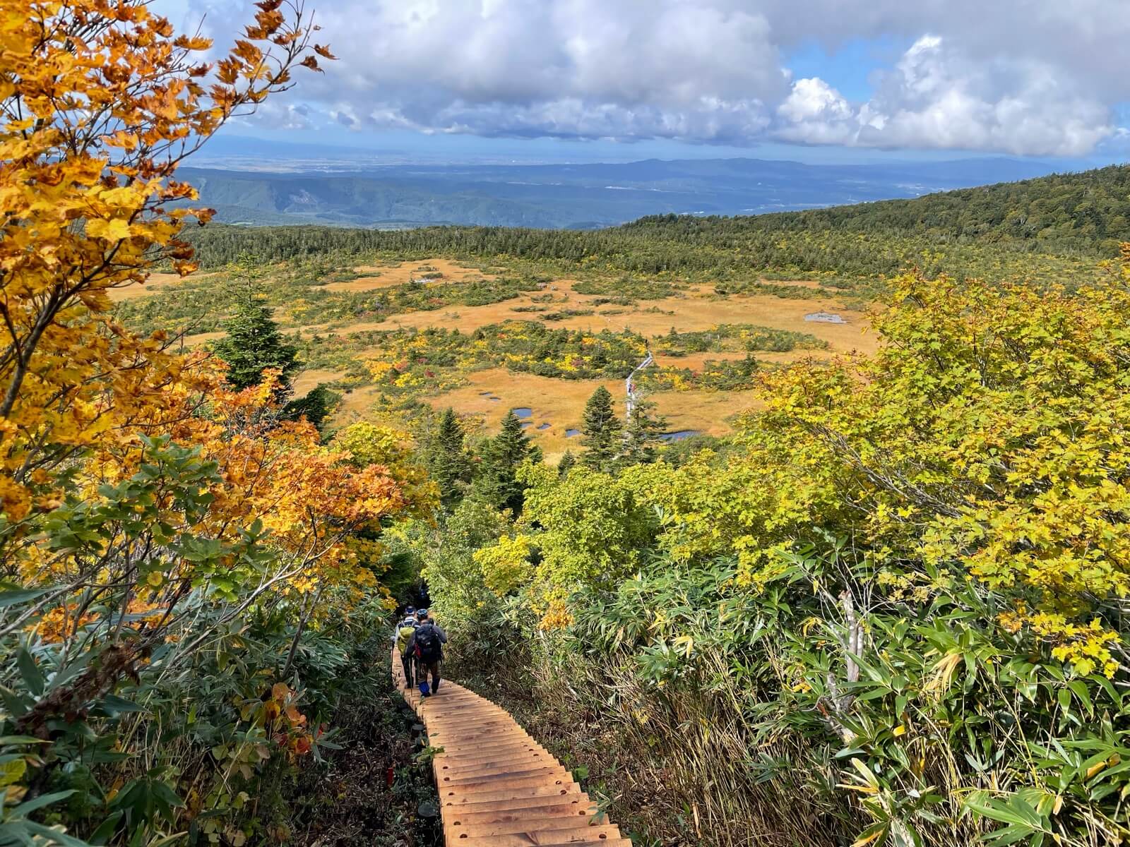 "下毛無岱"