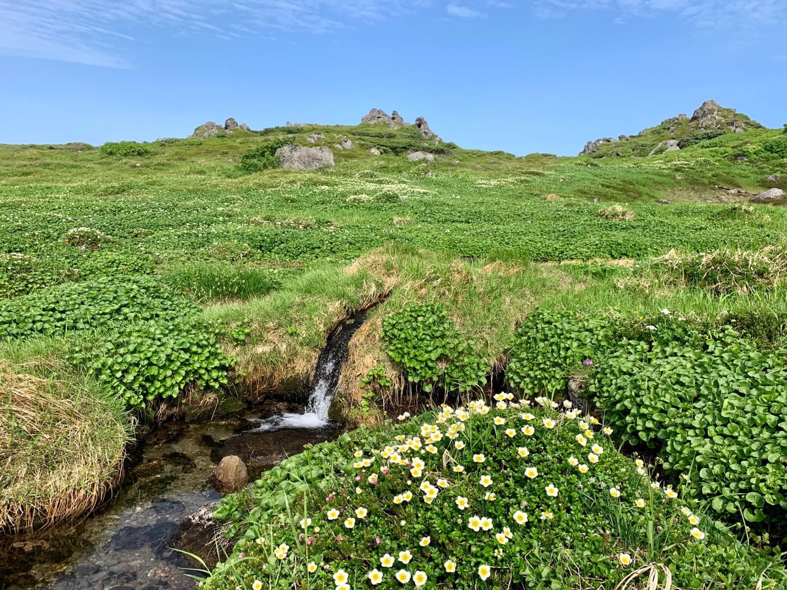 "南沼野営指定地:水場"
