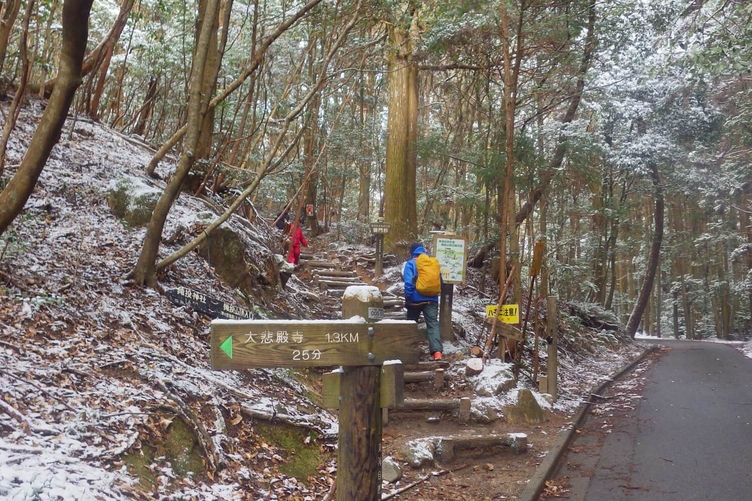 "御門杉登山口(中央の大木は御門杉)"