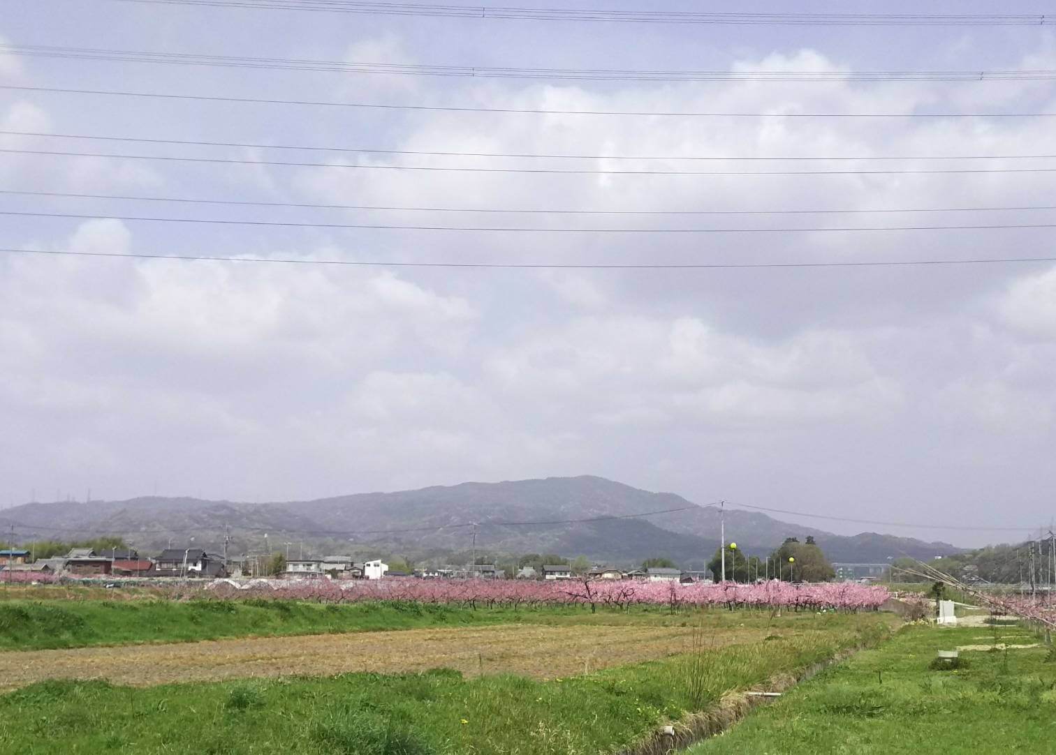 "猿投山"