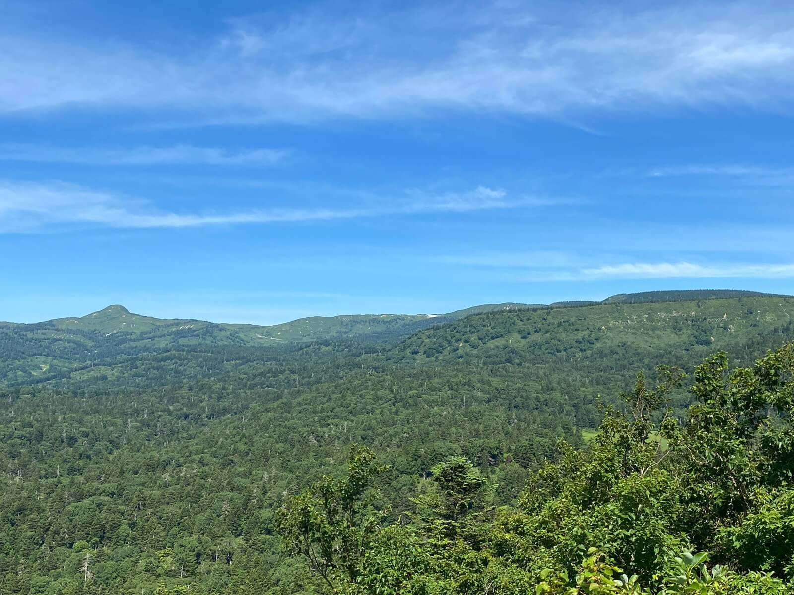"八幡平山頂部(左端のピークは畚岳)"