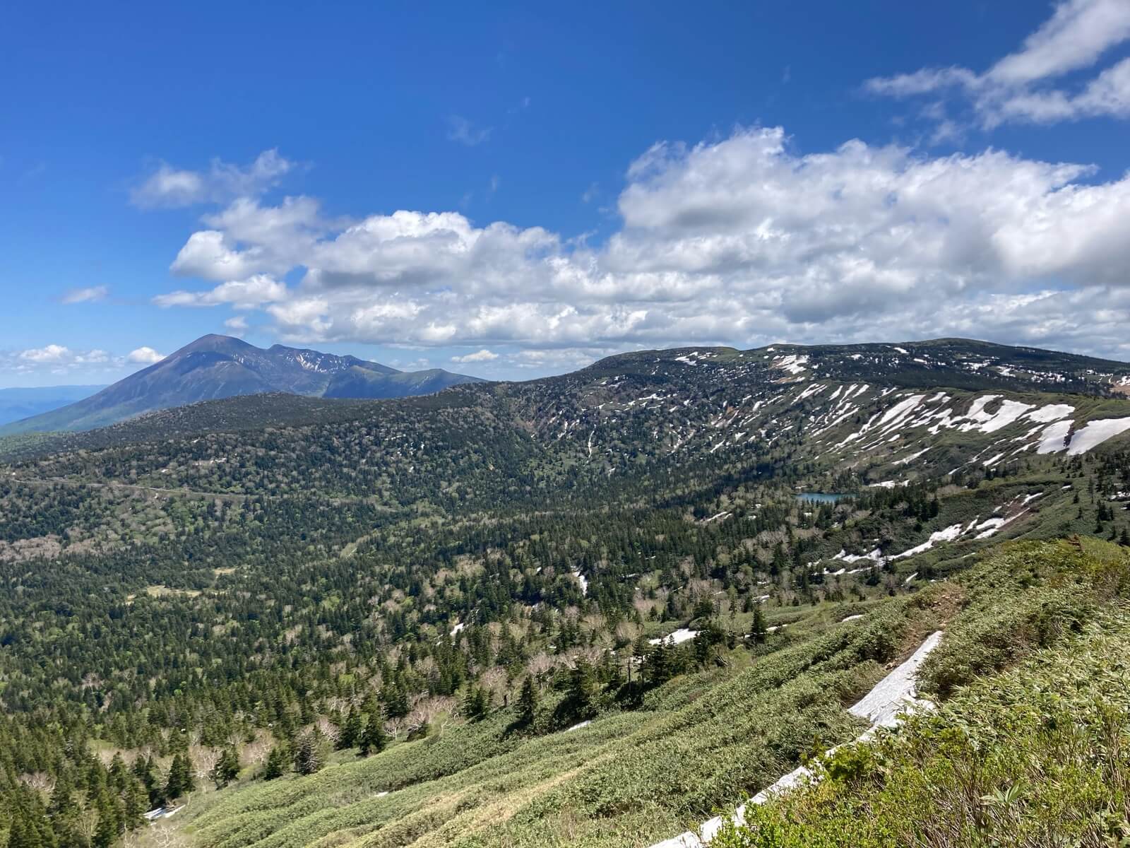 "八幡平山頂部(左奥の鋭鋒は岩手山)"